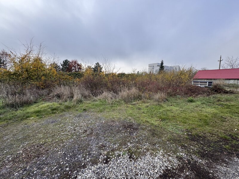 Ilfov Teren deosebit in Branesti sat Pasarea !