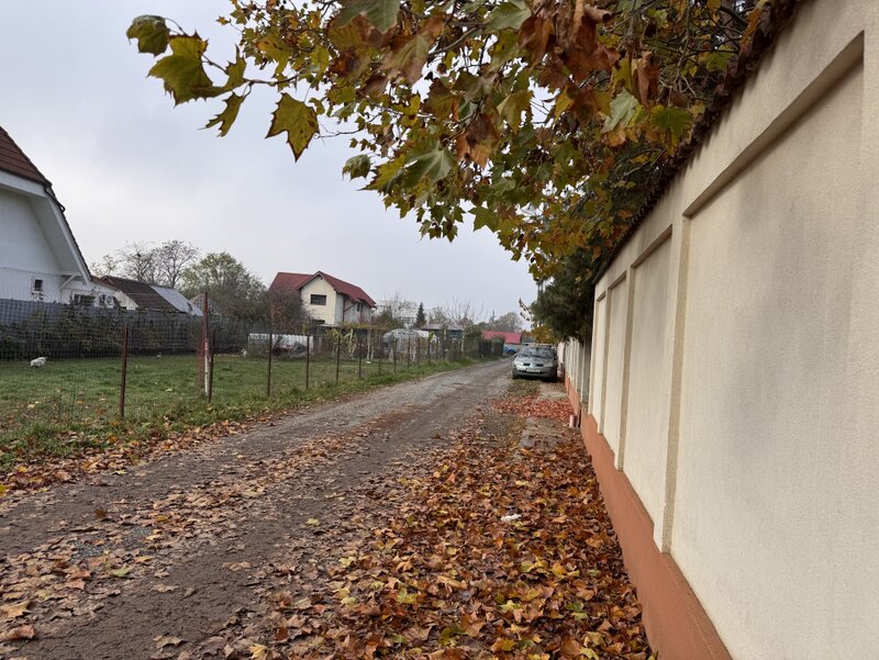 Ilfov Teren deosebit in Branesti sat Pasarea !