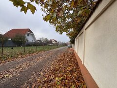 Ilfov Teren deosebit in Branesti sat Pasarea !