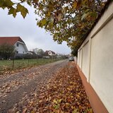 Ilfov Teren deosebit in Branesti sat Pasarea !